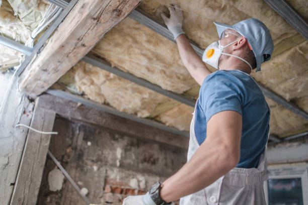 Types of Insulation We Offer in Farrell, PA