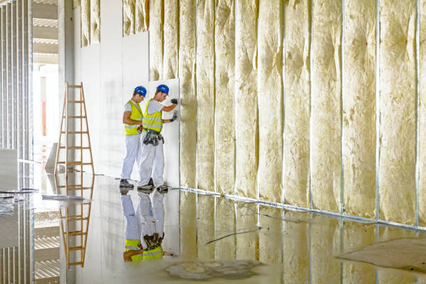 Best Geographic-Specific Insulation Services in Farrell, PA